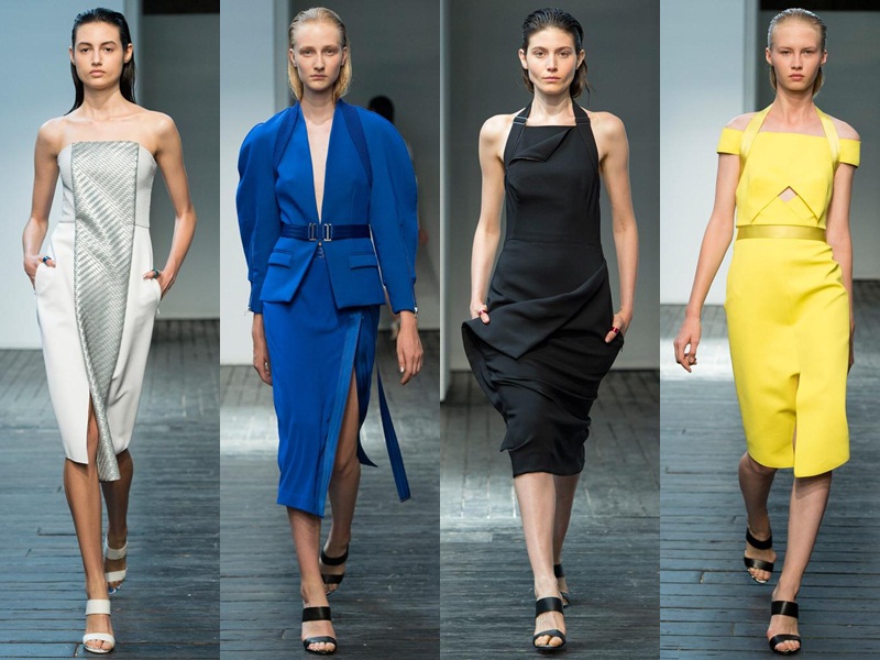 Dion Lee Spring 2015 Ready-to-Wear