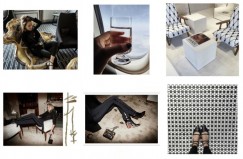 @oraclefoxblog Instagram