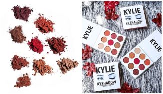 Kylie Jenner the burgundy palette