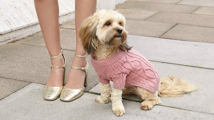 river island makes clothes for dogs