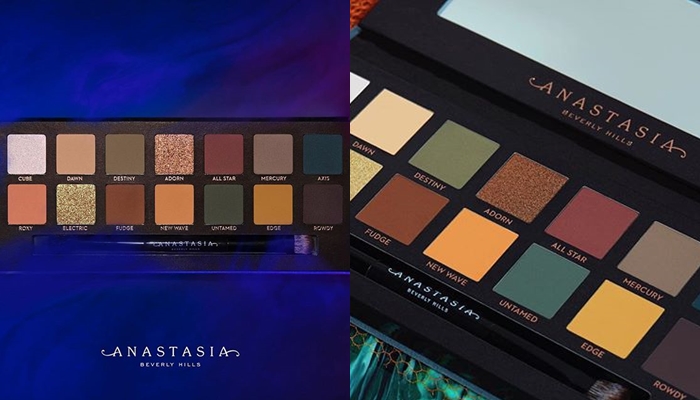 Anastasia Beverly Hills Subculture palette1