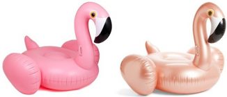 Pool floats shopping guide