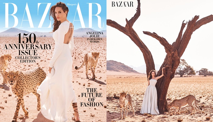 Angelina Jolie stars in Harper’s Bazaar November 2017 issue 2