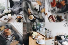 You should follow - @deer.home on Instagram