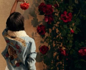 Beauty and the Beast collection by Minkpink